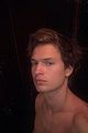 elgort-selfies2
