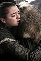 maisie-not