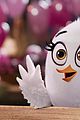 birds-trailer