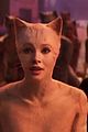 cats-trail