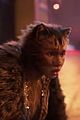 cats-trail