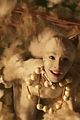 cats-trail