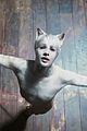 cats-trail