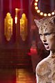 cats-trail
