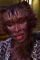 cats-trail