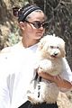 gomez-pup