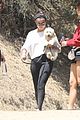 gomez-pup