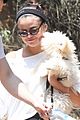 gomez-pup