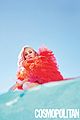 iggy-cosmo