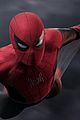 spider-exits