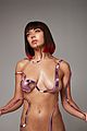 charli-albumstream