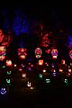 brody-halloween
