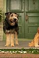 ladytramp-newtrailerdwts