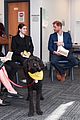 prince-harry-mental-health