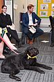 prince-harry-mental-health