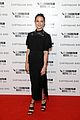 vikander-birdbfi