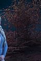 frozen-end