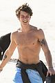mendes-shirtless