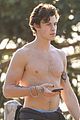 mendes-shirtless