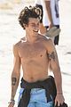 mendes-shirtless
