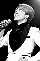 bts-jingle