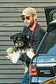 crawford-dogsmoothie