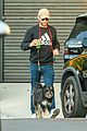 crawford-dogsmoothie