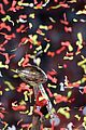 mahomes-mvp