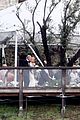 snow-wedding
