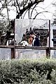 snow-wedding