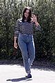 sophia-stripe