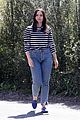 sophia-stripe