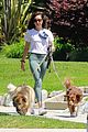 aubrey-plaza-dogs