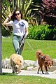 aubrey-plaza-dogs