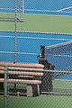 hamm-tennis