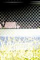 hamm-tennis