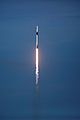 spacex-celebs