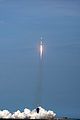 spacex-celebs