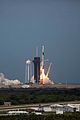 spacex-celebs
