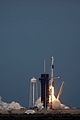 spacex-celebs