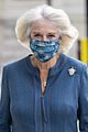 camilla-mask