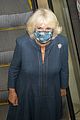 camilla-mask