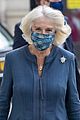 camilla-mask