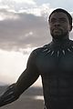 panther2-happen