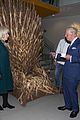 charles-throne