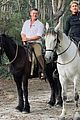 evans-horse