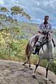evans-horse