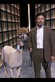 park-alpaca