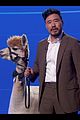 park-alpaca