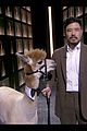 park-alpaca